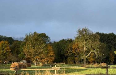 Pod Stromcem - Foto 42