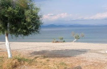 Annie's sweet home Paralio Astros - Foto 21