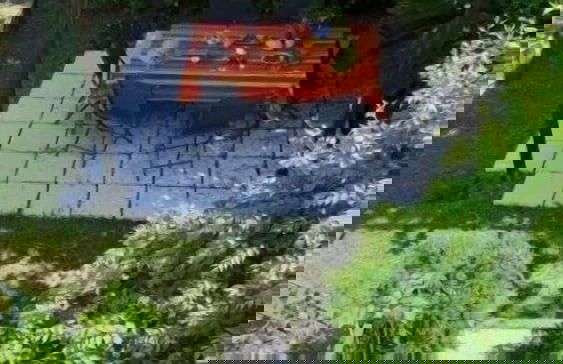 Stella di Mare - Foto 13