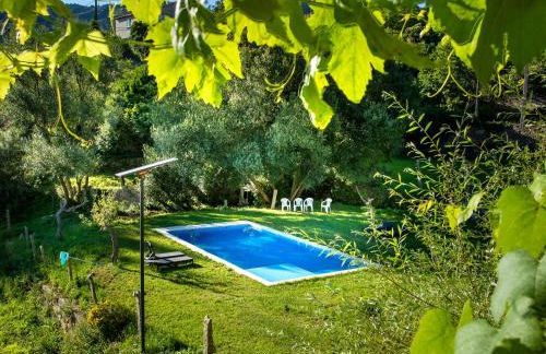 QUINTA do SOUTO BARCIADEMERA - Foto 50