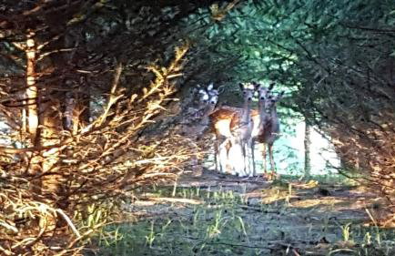 Przystań Nad Zatoką - Gospodarstwo Agroturystyczne - Foto 21