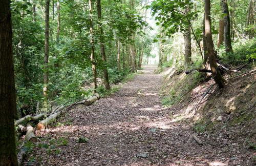 Burrills View - Foto 24