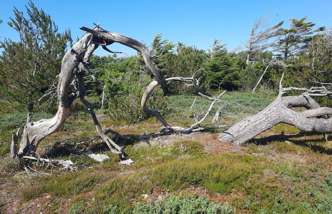 Surf Paradise in Klitmoller - By Traum Ferienwohnungen - Foto 9
