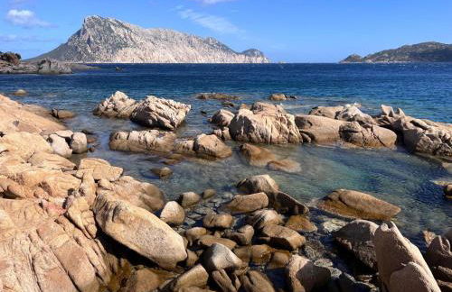 Le Giuggiole di Punta Molara - Foto 27