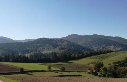 "RYVILLA" Dom na Wilkówce - Foto 1