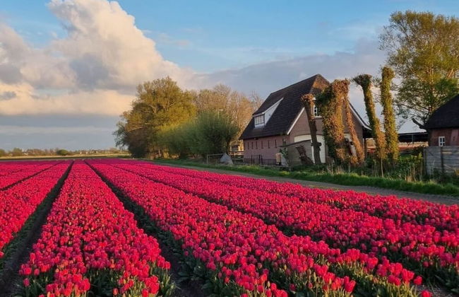 Country Life Comfortable Holiday Residence - Foto 1