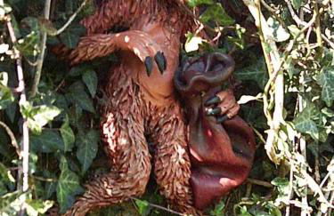 El Pedrueco turismo rural - Foto 56