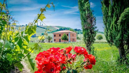 Agriturismo Agrimare Barba - Foto 4