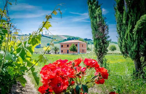 Agriturismo Agrimare Barba - Foto 4