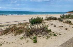 Casa 3 dormitorios La Barrosa - Foto 37