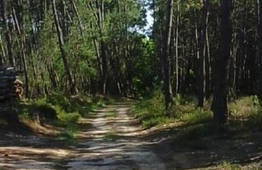 Gîte de la Rotterie - Photo 10