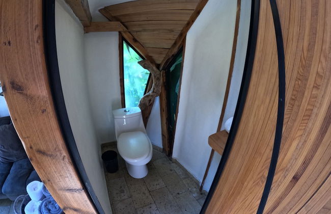 Bosque Geométrico - Foto 54