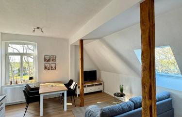 Robbe beim Ochsenturm am Deich - Foto 6