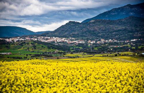 La Casita de Albino -jacuzzi-chimenea-museo - Foto 64