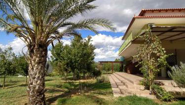 Ktima Anastasia - Foto 1, Garden, Garden view