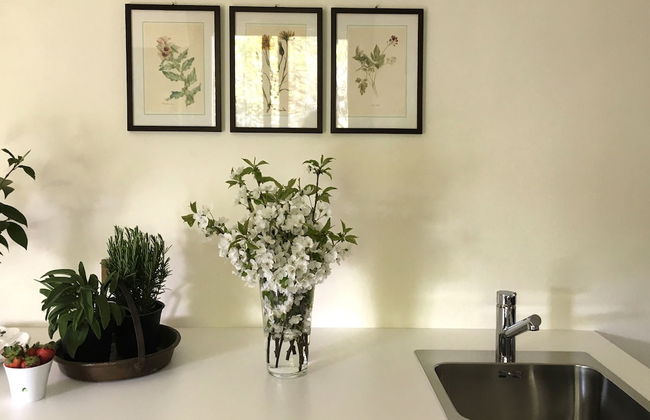 House & Garden - Foto 10