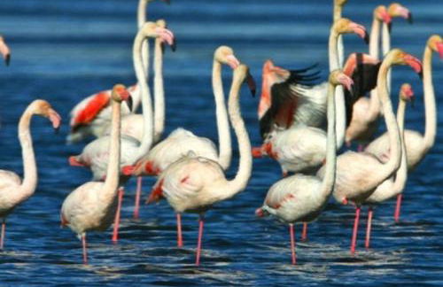 Apartamento Isabel - Foto 31