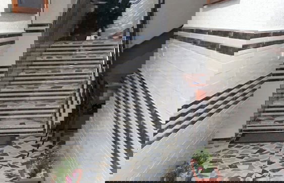 Dar Al Machichi - Photo 27