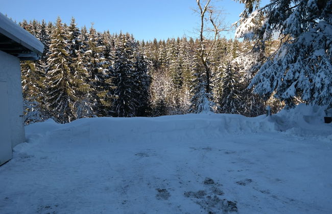 Ferienwohnungen Haus Zeier - Foto 39