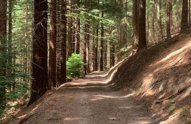 Tank Barn at Brook House, Nestled in the Welsh Hills, a delightful retreat - Foto 3