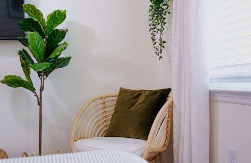 The Mangrove Suite Newly Built Upscale Central - Photo 22