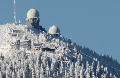 Am Waldrand - Foto 6