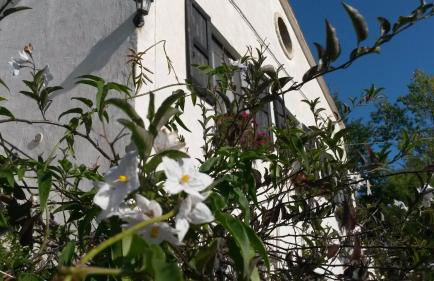 C'era Una Volta - Foto 60