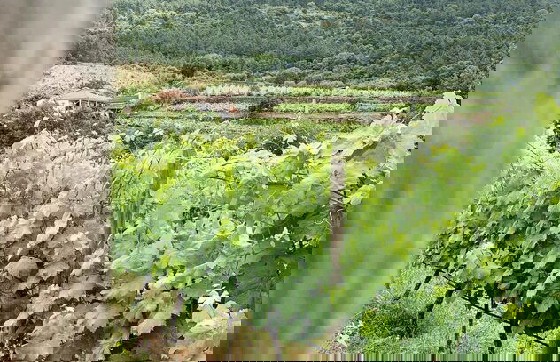 Casa Grande do Seixo - Photo 29