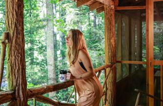 Buzzard Roost cabin at Cabin Fever in NC - Foto 22