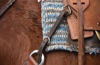 Il Castello di Darany - Photo 51