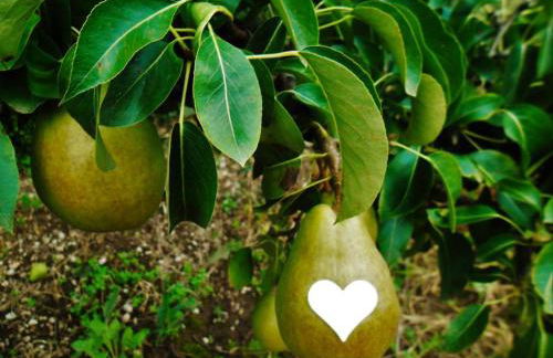 Agritur Leita - Foto 67