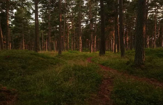 4 Person Holiday Home in Ingaro-by Traum - Photo 12