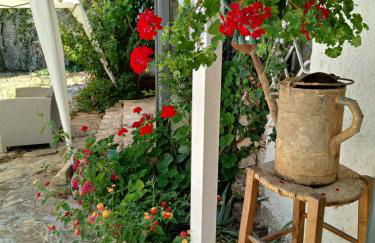 Limonaia in Salento - Foto 66