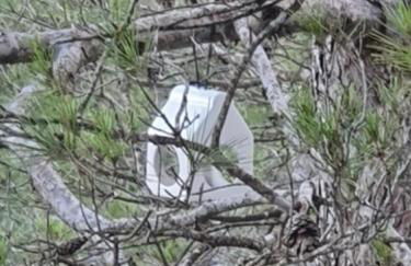 Alcarria , Casa del Agua - Foto 33