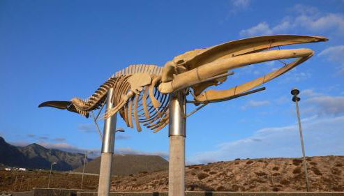 Almar Apartment - Foto 5