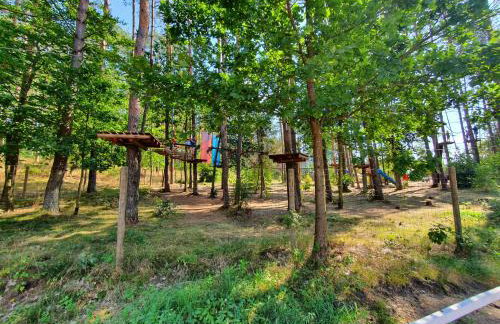 Chëcz Kaszëbsko 59 - Foto 34