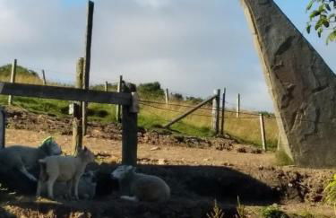 Scorrabrae Orphir Mainland Orkney South Shore Retreat - Photo 56