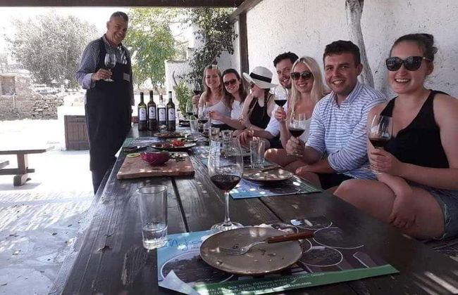 Cata de vinos en una granja de Mykonos - Foto 7