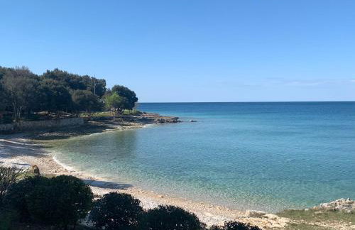 Bale Luxury House - Foto 20