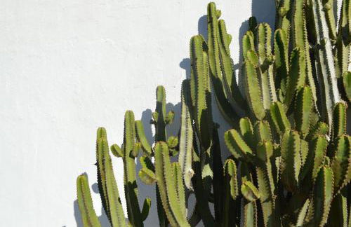 Casa Cabrera - 2 apartamentos con vistas al mar - Foto 22