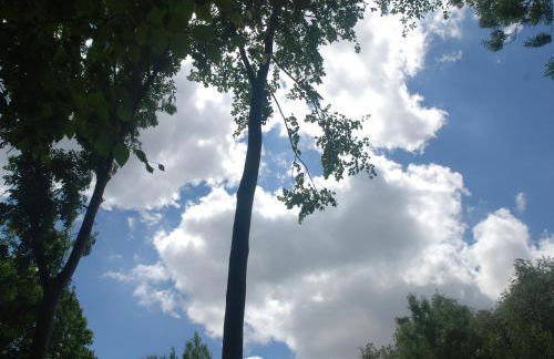 Rose Garden Studio - Foto 18