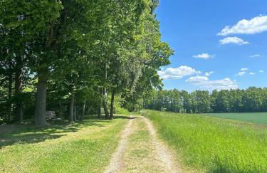 Wohnung in Reelkirchen mit 1 Schlafzimmer - Foto 5