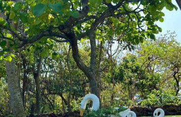 Casa para relaxar em Chapada dos Guimarães - Foto 21