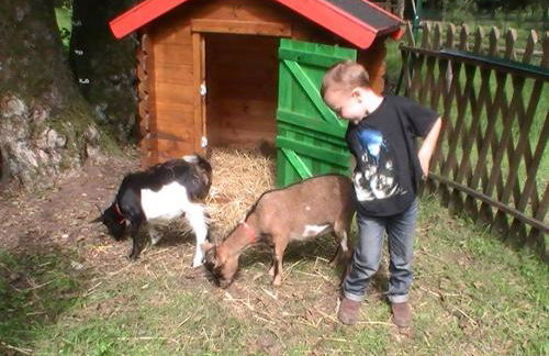 Gîte de la baerenbach - Photo 6