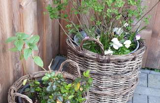 Ferienwohnung Heusler - Foto 13