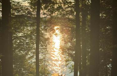 Hammock Haven Island Dome - Foto 36