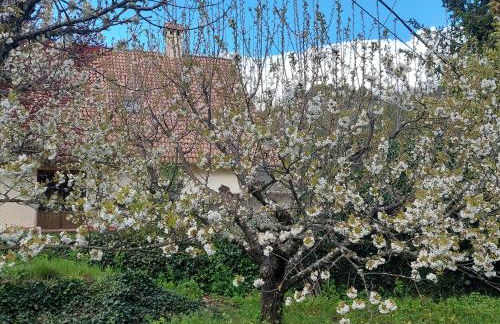 Puente Canto de Gredos - Photo 78