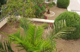 Apartments Romana - Photo 20