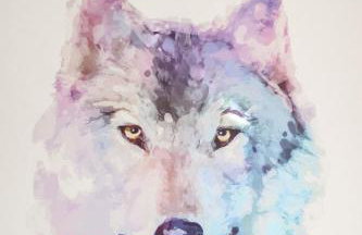 Apartamenty Oleńka I - Szczytno Mazury - Foto 19