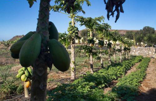 Finca Arbequina - Photo 69